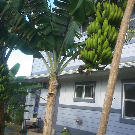 Banana Bungalow In Laie North Shore Oahu Apartment Exterior photo